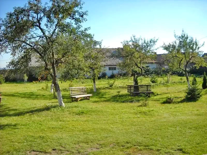 Racu Cazare | Căsuțe tip camping (K0083-12) Imaginea poate fi supusă drepturilor de autor. Se recomandă contactarea titularului drepturilor.