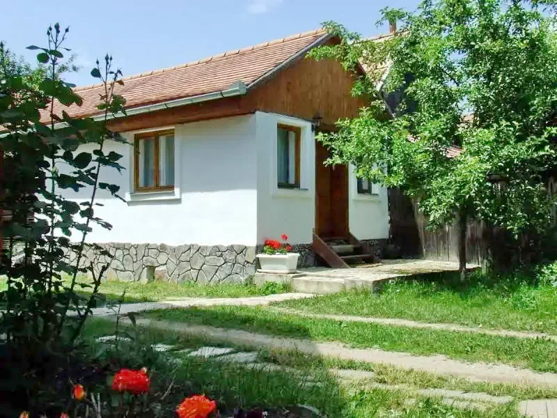 Racu Cazare | Han (K0083-13) Imaginea poate fi supusă drepturilor de autor. Se recomandă contactarea titularului drepturilor.