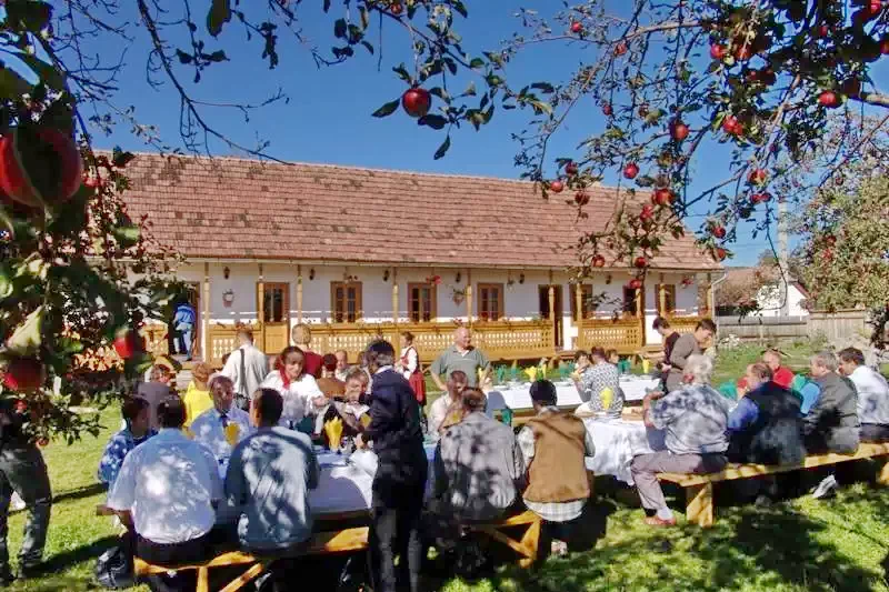 Racu Cazare | Căsuțe tip camping (K0083-22) Imaginea poate fi supusă drepturilor de autor. Se recomandă contactarea titularului drepturilor.