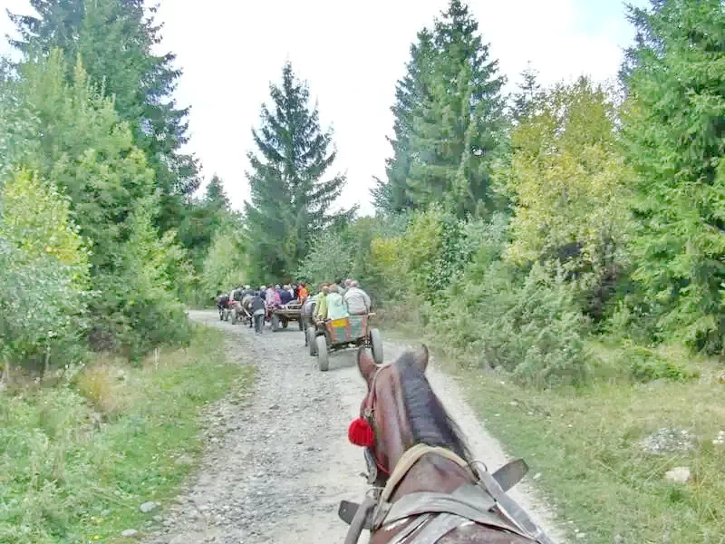 Racu Cazare | Căsuțe tip camping (K0083-66) Imaginea poate fi supusă drepturilor de autor. Se recomandă contactarea titularului drepturilor.