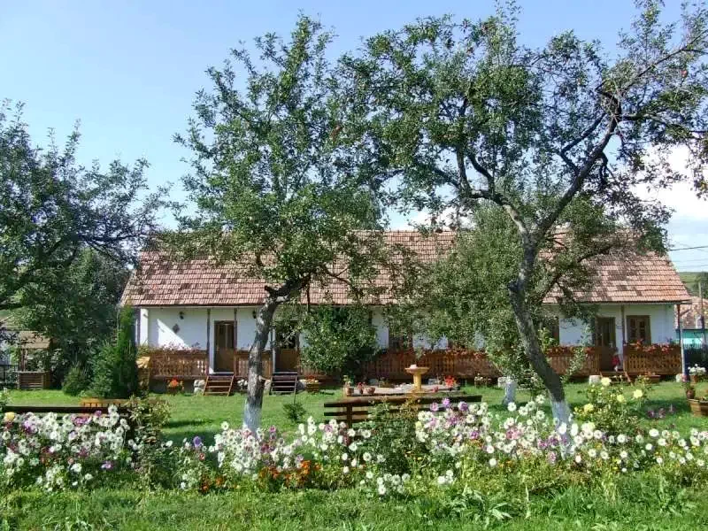 Racu Cazare | Căsuțe tip camping (K0083-67) Imaginea poate fi supusă drepturilor de autor. Se recomandă contactarea titularului drepturilor.