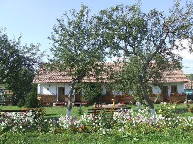 Csíkrákos Szállás | Kemping faházak (K0083-71) A kép szerzői jogvédelem alatt állhat. Javasolt a kapcsolatfelvétel a jog tulajdonossal.