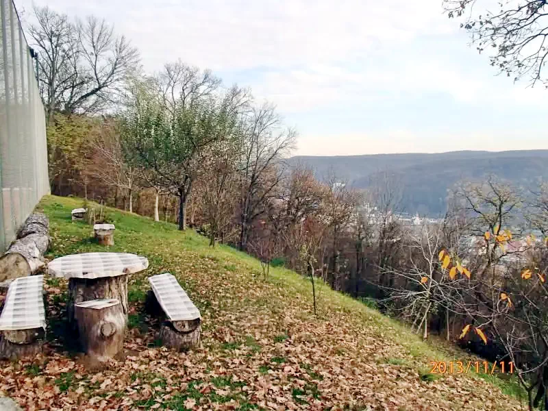 Sighișoara Cazare | Cabană (K0417-7) Imaginea poate fi supusă drepturilor de autor. Se recomandă contactarea titularului drepturilor.