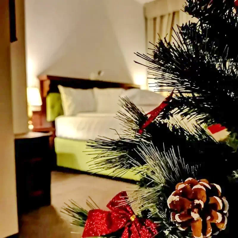 Segesvár Szállás | Motel (K1183-14) A kép szerzői jogvédelem alatt állhat. Javasolt a kapcsolatfelvétel a jog tulajdonossal.