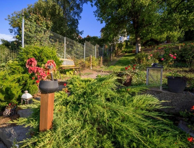 Segesvár Szállás | Motel (K1525-27) A kép szerzői jogvédelem alatt állhat. Javasolt a kapcsolatfelvétel a jog tulajdonossal.