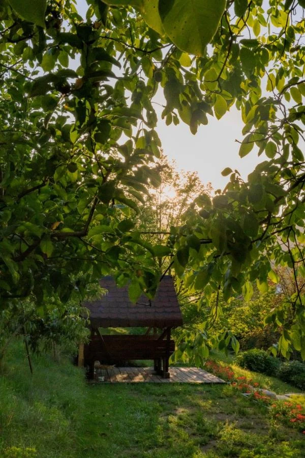 Sighișoara Cazare | Motel (K1525-44) Imaginea poate fi supusă drepturilor de autor. Se recomandă contactarea titularului drepturilor.