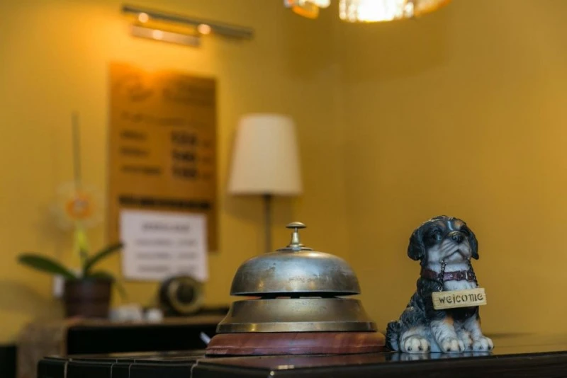 Sighișoara Cazare | Pensiune turistică (K1527-17) Imaginea poate fi supusă drepturilor de autor. Se recomandă contactarea titularului drepturilor.