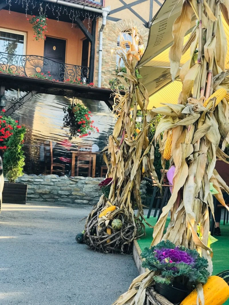 Sighișoara Cazare | Hotel*** (K1527-37) Imaginea poate fi supusă drepturilor de autor. Se recomandă contactarea titularului drepturilor. Sighișoara Cazare | Hotel*** (K1527-37) Imaginea poate fi supusă drepturilor de autor. Se recomandă contactarea titularului drepturilor.