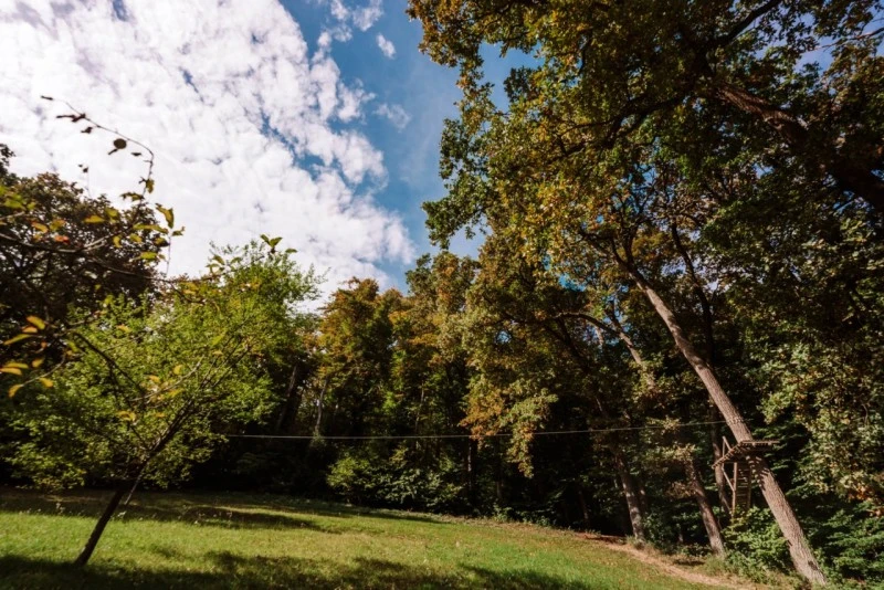 Segesvár Szállás | Turisztikai panzió (K1588-38) A kép szerzői jogvédelem alatt állhat. Javasolt a kapcsolatfelvétel a jog tulajdonossal.