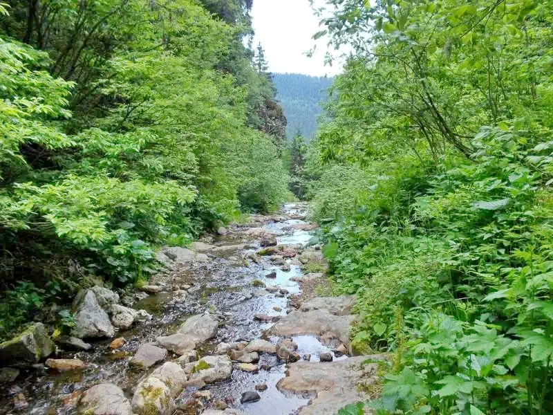 Smida Cazare | Motel (K1245-54) Imaginea poate fi supusă drepturilor de autor. Se recomandă contactarea titularului drepturilor.