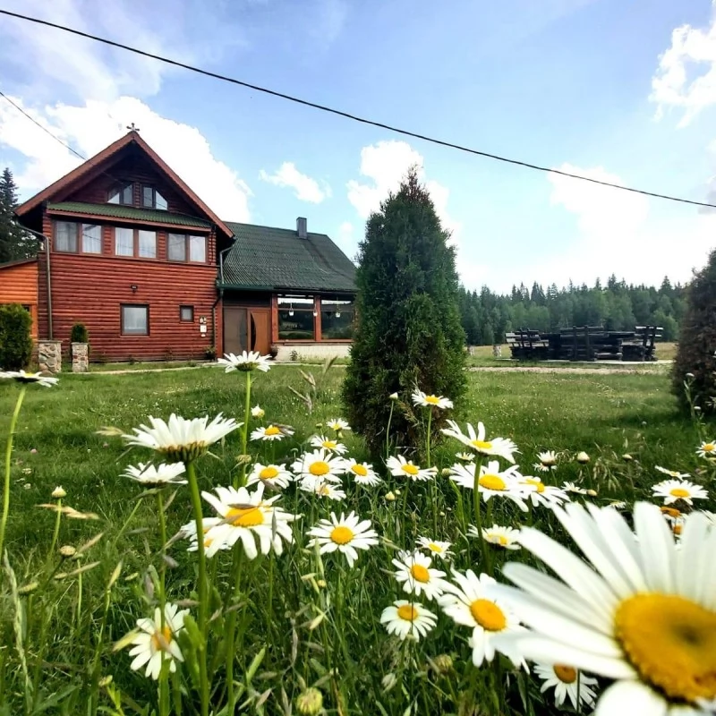 Smida Cazare | Motel (K1245-57) Imaginea poate fi supusă drepturilor de autor. Se recomandă contactarea titularului drepturilor.