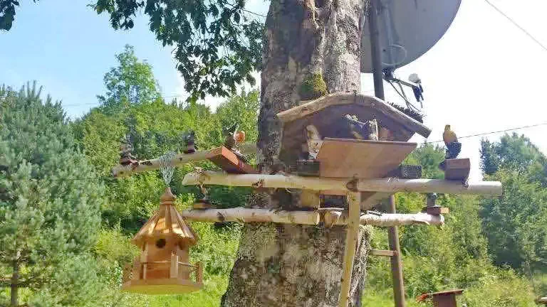 Boga Völgye Szállás | Kemping / turistapihenő (K0027-39) A kép szerzői jogvédelem alatt állhat. Javasolt a kapcsolatfelvétel a jog tulajdonossal.