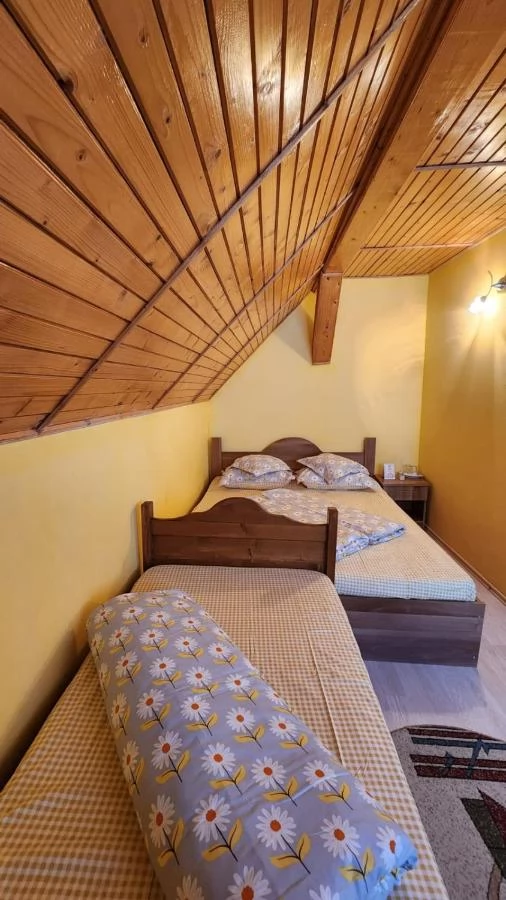 Valea Boga Cazare | Motel (K0052-9) Imaginea poate fi supusă drepturilor de autor. Se recomandă contactarea titularului drepturilor.