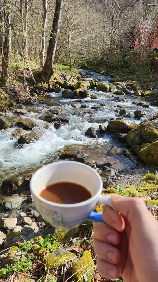 Valea Boga Cazare | Motel (K0052-37) Imaginea poate fi supusă drepturilor de autor. Se recomandă contactarea titularului drepturilor.