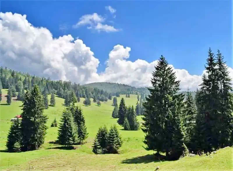 Boga Völgye Szállás | Motel (K0054-1) A kép szerzői jogvédelem alatt állhat. Javasolt a kapcsolatfelvétel a jog tulajdonossal.