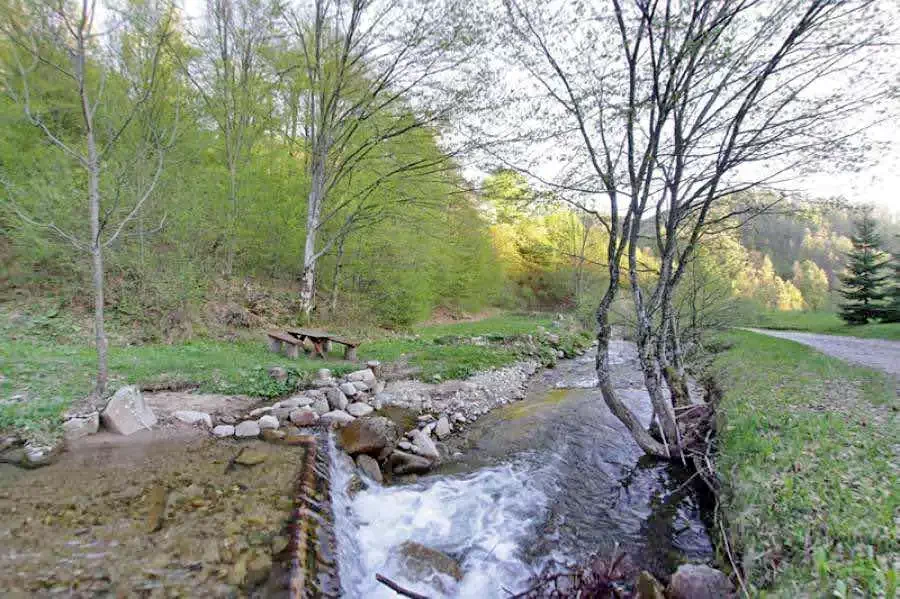 Valea Boga Cazare | Motel (K0054-20) Imaginea poate fi supusă drepturilor de autor. Se recomandă contactarea titularului drepturilor.