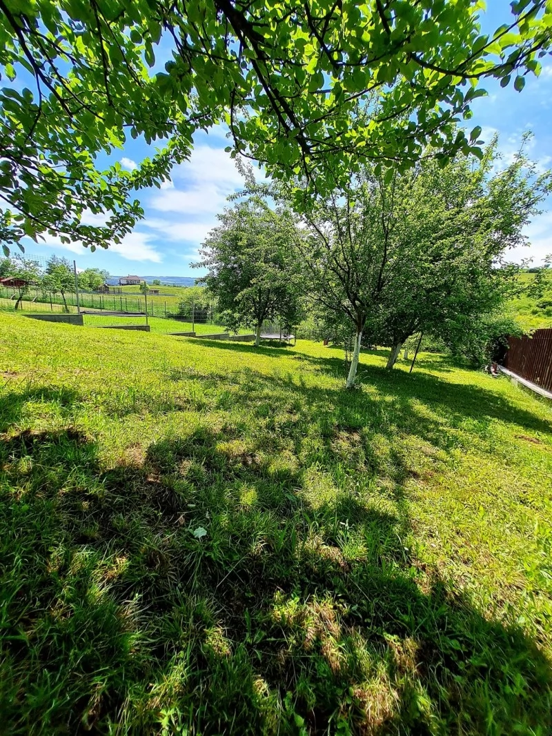 Praid Cazare | Pensiune (K0302-36) Imaginea poate fi supusă drepturilor de autor. Se recomandă contactarea titularului drepturilor.