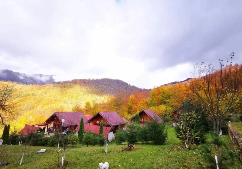Boga Völgye Szállás | Üdülőfalu (K0618-25) A kép szerzői jogvédelem alatt állhat. Javasolt a kapcsolatfelvétel a jog tulajdonossal.