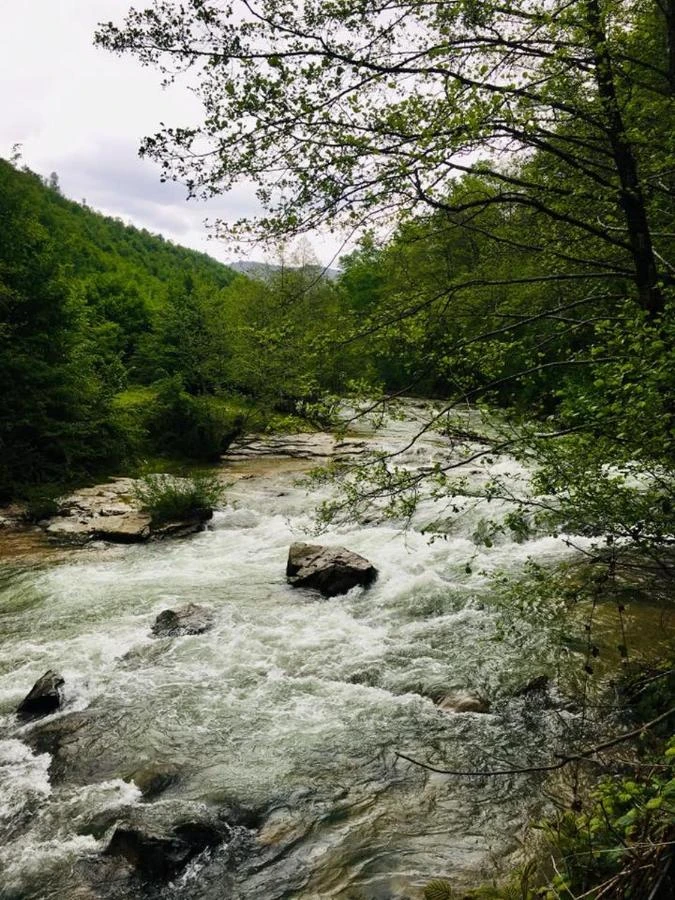 Valea Boga Cazare | Motel (K0930-64) Imaginea poate fi supusă drepturilor de autor. Se recomandă contactarea titularului drepturilor.