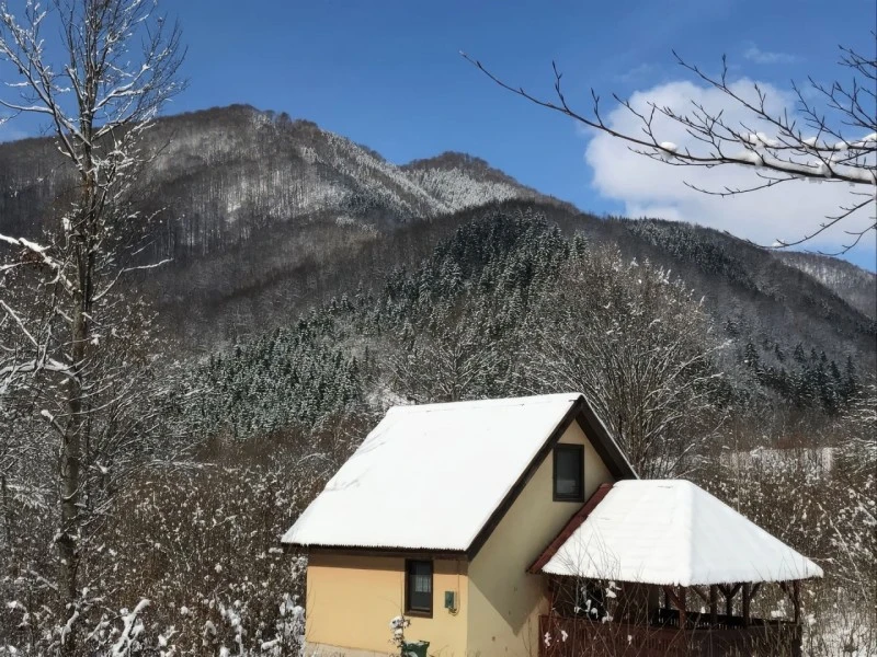 Valea Boga Cazare | Cabană (K1519-48) Imaginea poate fi supusă drepturilor de autor. Se recomandă contactarea titularului drepturilor. Valea Boga Cazare | Cabană (K1519-48) Imaginea poate fi supusă drepturilor de autor. Se recomandă contactarea titularului drepturilor.