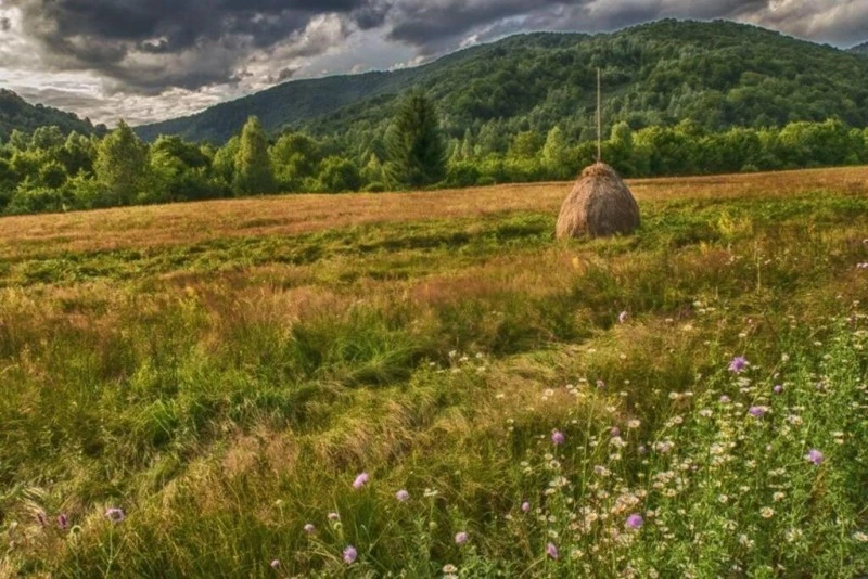 Boga Völgye Szállás | Kulcsosház (K1519-73) A kép szerzői jogvédelem alatt állhat. Javasolt a kapcsolatfelvétel a jog tulajdonossal. Boga Völgye Szállás | Kulcsosház (K1519-73) A kép szerzői jogvédelem alatt állhat. Javasolt a kapcsolatfelvétel a jog tulajdonossal.