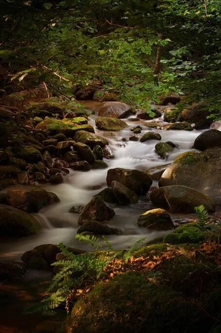 Valea Boga Cazare | Cabană (K1519-74) Imaginea poate fi supusă drepturilor de autor. Se recomandă contactarea titularului drepturilor. Valea Boga Cazare | Cabană (K1519-74) Imaginea poate fi supusă drepturilor de autor. Se recomandă contactarea titularului drepturilor.