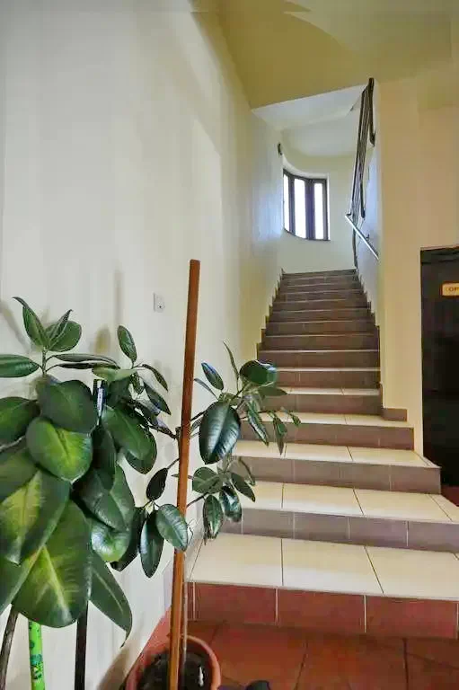 Marosvásárhely Szállás | Turisztikai panzió (K1345-22) A kép szerzői jogvédelem alatt állhat. Javasolt a kapcsolatfelvétel a jog tulajdonossal.