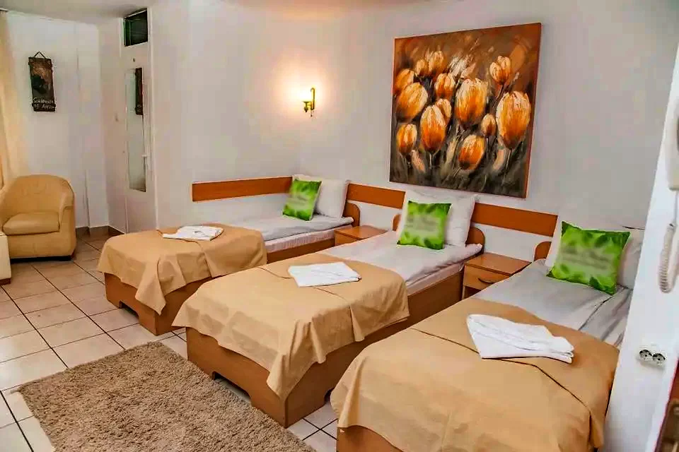 Târgu Mureș Cazare | Motel (K1385-27) Imaginea poate fi supusă drepturilor de autor. Se recomandă contactarea titularului drepturilor.