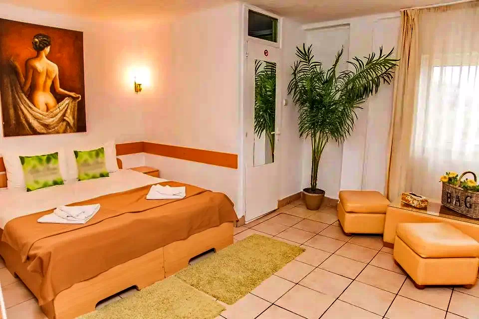 Cazare Târgu Mureș - Vila Cheșa*** | Marosvásárhely - Cheșa Villa***. Imaginea poate fi supusă drepturilor de autor. Se recomandă contactarea titularului drepturilor.