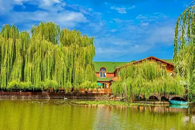 Târgu Mureș Cazare | Hotel**** (K1348-30) Imaginea poate fi supusă drepturilor de autor. Se recomandă contactarea titularului drepturilor.