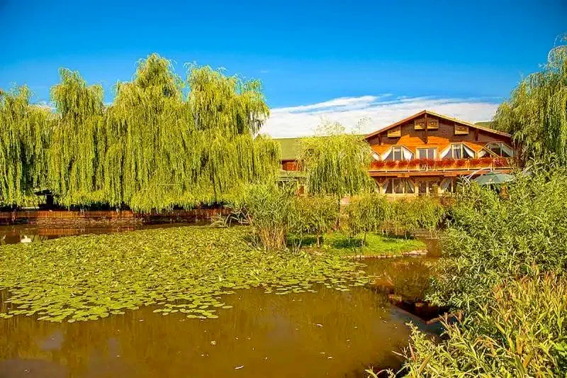 Marosvásárhely Szállás | Hotel**** (K1348-32) A kép szerzői jogvédelem alatt állhat. Javasolt a kapcsolatfelvétel a jog tulajdonossal.