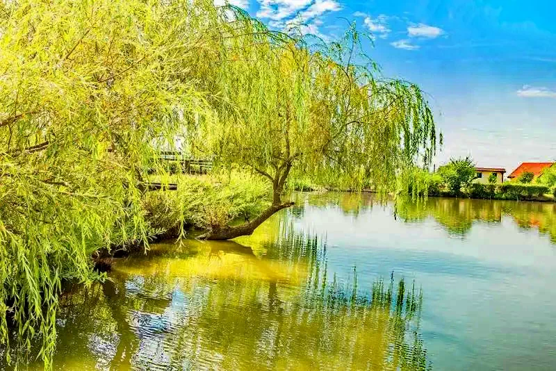 Târgu Mureș Cazare | Hotel**** (K1348-60) Imaginea poate fi supusă drepturilor de autor. Se recomandă contactarea titularului drepturilor.