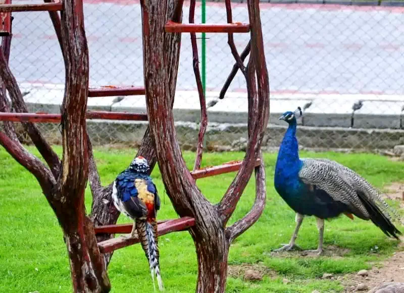 Marosvásárhely Szállás | Vendégház (K1348-66) A kép szerzői jogvédelem alatt állhat. Javasolt a kapcsolatfelvétel a jog tulajdonossal.