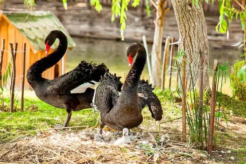 Târgu Mureș Cazare | Casă de oaspeți (K1348-67) Imaginea poate fi supusă drepturilor de autor. Se recomandă contactarea titularului drepturilor.