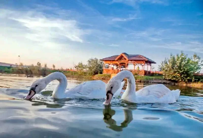 Târgu Mureș Cazare | Pensiune turistică (K1346-47) Imaginea poate fi supusă drepturilor de autor. Se recomandă contactarea titularului drepturilor.