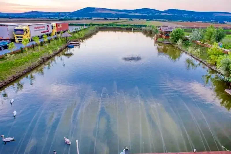 Târgu Mureș Cazare | Pensiune turistică (K1346-48) Imaginea poate fi supusă drepturilor de autor. Se recomandă contactarea titularului drepturilor.