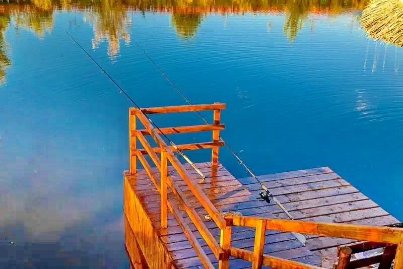 Marosvásárhely Szállás | Hotel*** (K1346-50) A kép szerzői jogvédelem alatt állhat. Javasolt a kapcsolatfelvétel a jog tulajdonossal.