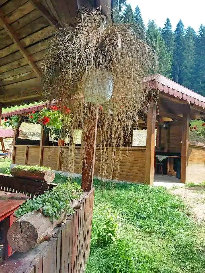 Ceahlău Cazare | Pensiune (K0688-14) Imaginea poate fi supusă drepturilor de autor. Se recomandă contactarea titularului drepturilor.