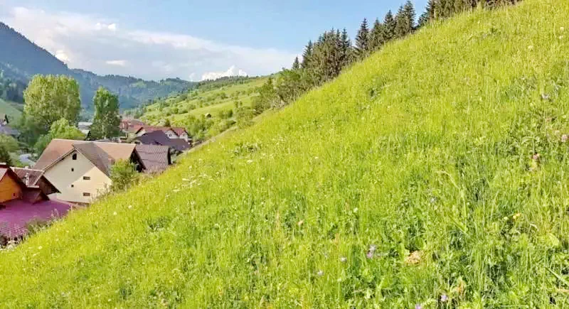 Felsőmoécs Szállás | Motel (K0208-30) A kép szerzői jogvédelem alatt állhat. Javasolt a kapcsolatfelvétel a jog tulajdonossal.