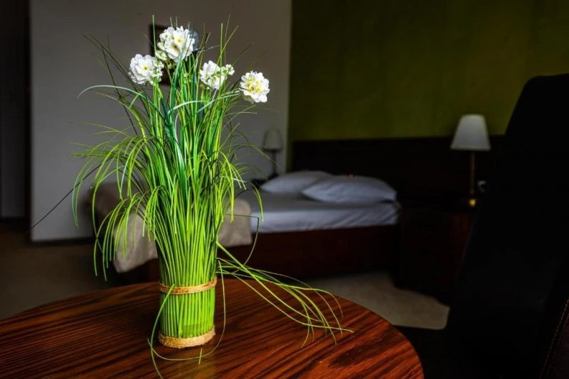 Târgu Mureș Cazare | Motel (K1590-38) Imaginea poate fi supusă drepturilor de autor. Se recomandă contactarea titularului drepturilor.