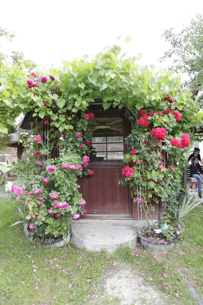 Izvoru Mureșului Cazare | Motel (K0126-10) Imaginea poate fi supusă drepturilor de autor. Se recomandă contactarea titularului drepturilor.