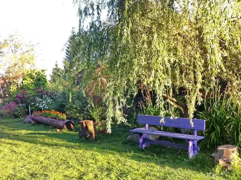 Izvoru Mureșului Cazare | Motel (K0151-35) Imaginea poate fi supusă drepturilor de autor. Se recomandă contactarea titularului drepturilor.