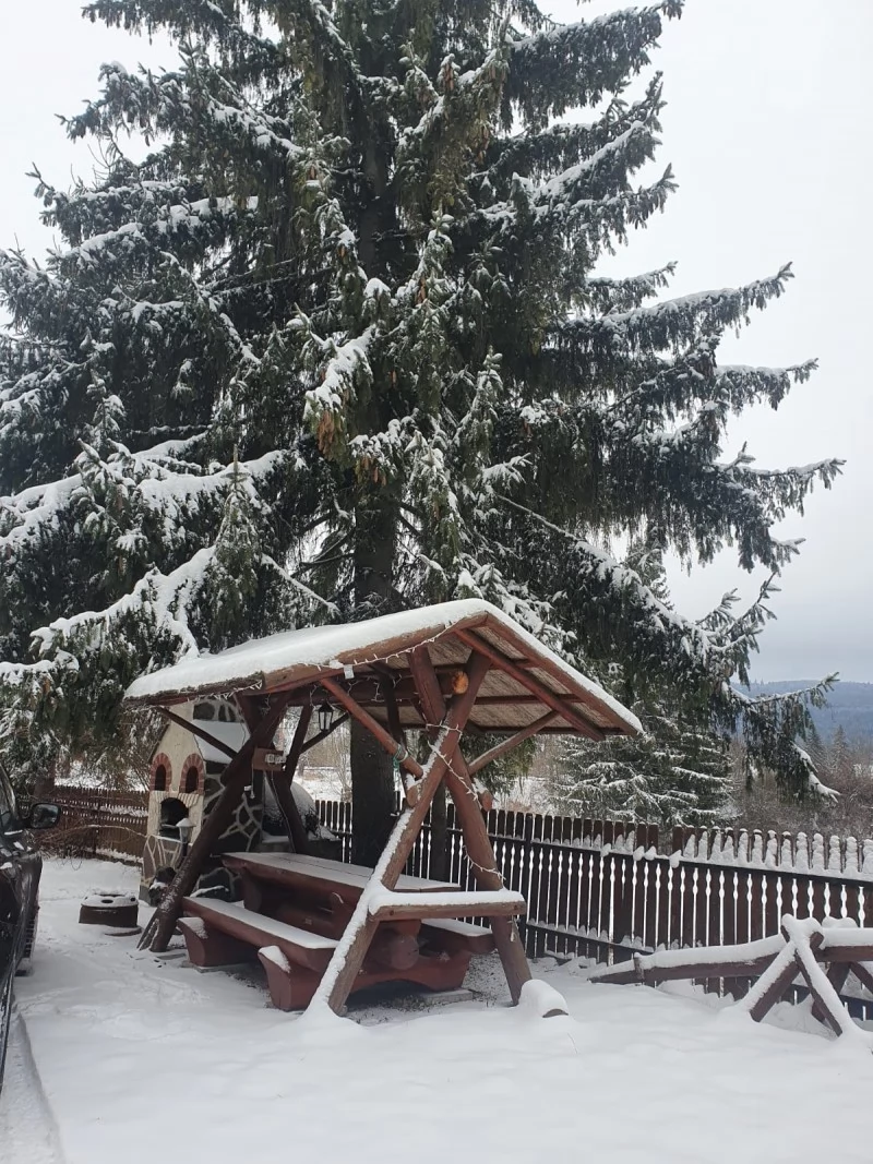 Marosfő Szállás | Motel (K0172-41) A kép szerzői jogvédelem alatt állhat. Javasolt a kapcsolatfelvétel a jog tulajdonossal.