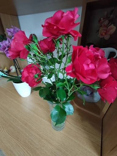 Izvoru Mureșului Cazare | Pensiune (K0257-12) Imaginea poate fi supusă drepturilor de autor. Se recomandă contactarea titularului drepturilor.