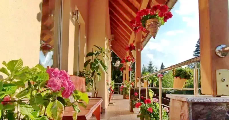 Izvoru Mureșului Cazare | Sat de vacanță (K0266-5) Imaginea poate fi supusă drepturilor de autor. Se recomandă contactarea titularului drepturilor.