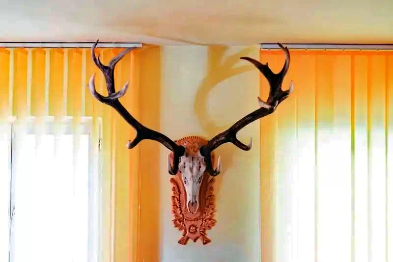 Izvoru Mureșului Cazare | Cabană (K0287-9) Imaginea poate fi supusă drepturilor de autor. Se recomandă contactarea titularului drepturilor.