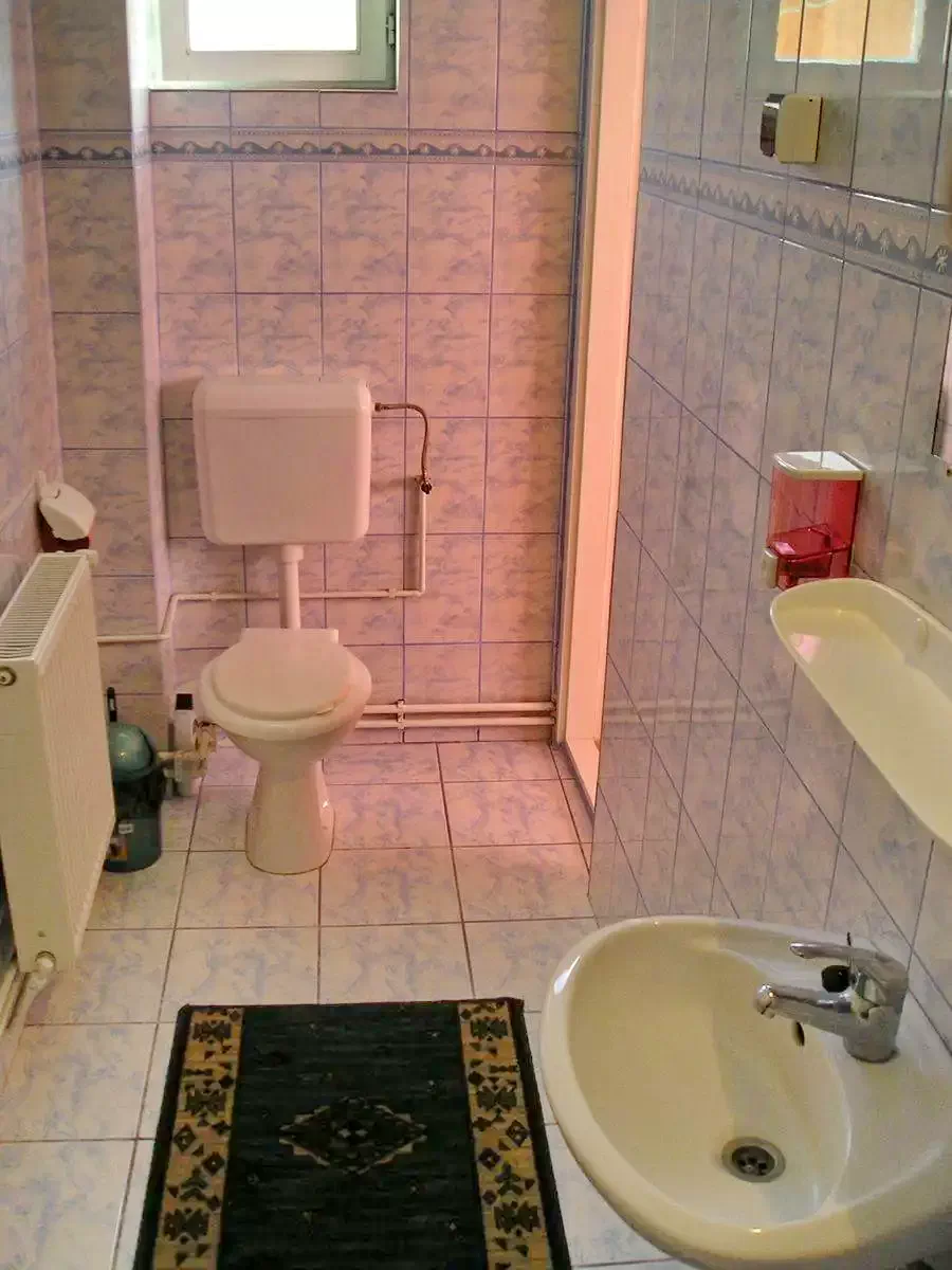 Izvoru Mureșului Cazare | Cabană (K0287-13) Imaginea poate fi supusă drepturilor de autor. Se recomandă contactarea titularului drepturilor.