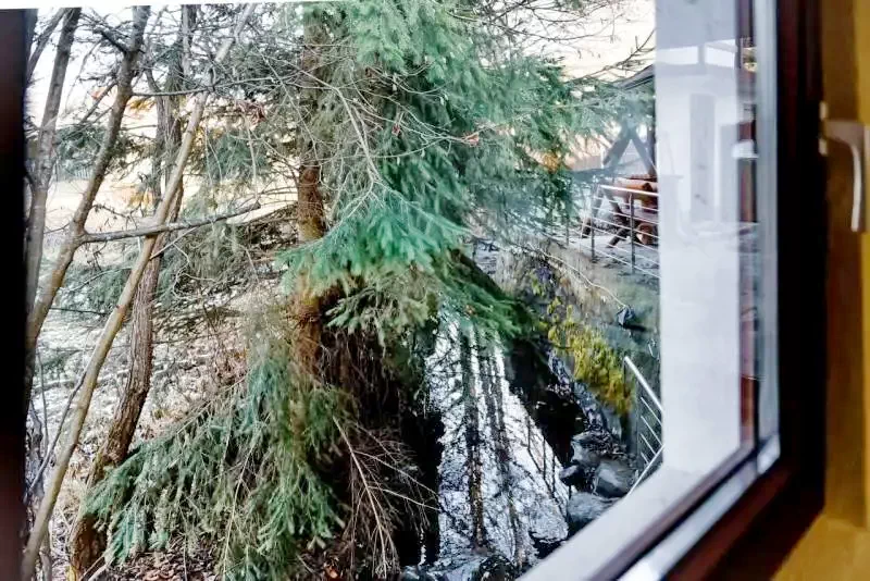 Izvoare Cazare | Cabană (K1252-34) Imaginea poate fi supusă drepturilor de autor. Se recomandă contactarea titularului drepturilor.