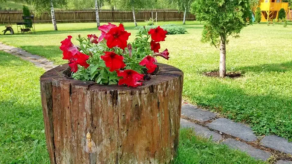 Marosfő Szállás | Panzió (K0453-10) A kép szerzői jogvédelem alatt állhat. Javasolt a kapcsolatfelvétel a jog tulajdonossal. Marosfő Szállás | Panzió (K0453-10) A kép szerzői jogvédelem alatt állhat. Javasolt a kapcsolatfelvétel a jog tulajdonossal.