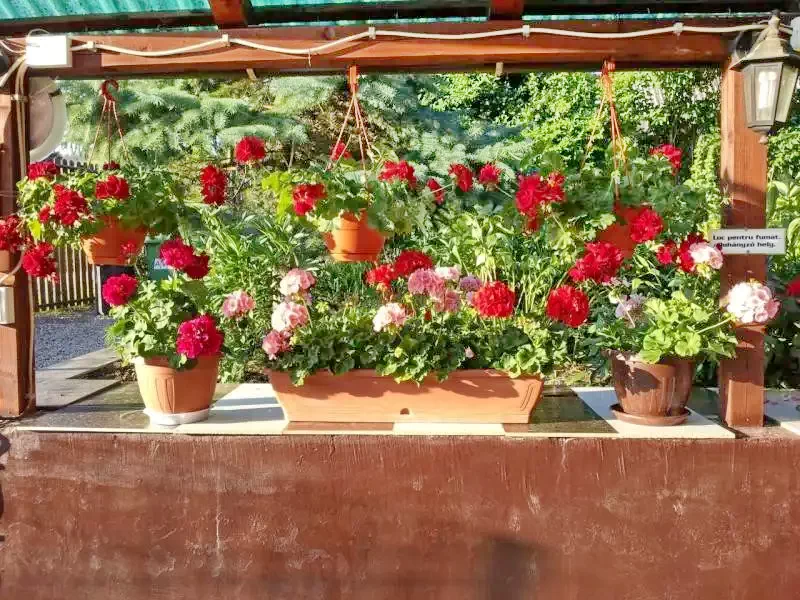 Marosfő Szállás | Motel (K0457-15) A kép szerzői jogvédelem alatt állhat. Javasolt a kapcsolatfelvétel a jog tulajdonossal.